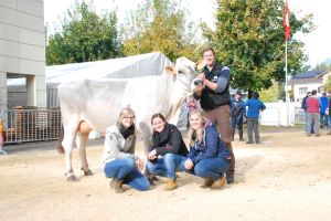 Junior Champion BS